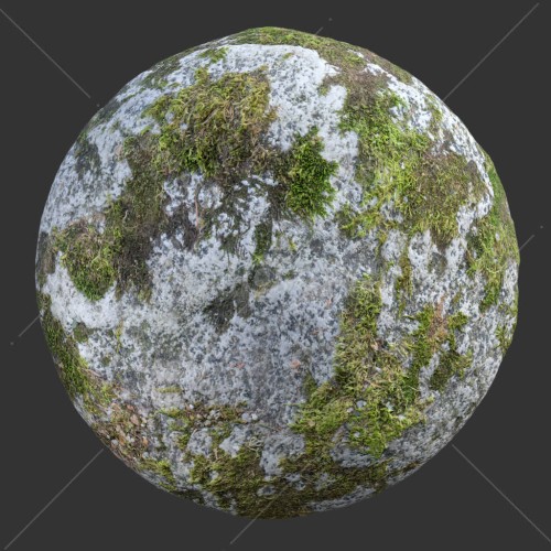 --RockSpottyMoss006.jpg